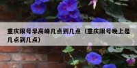 重庆限号早高峰几点到几点（重庆限号晚上是几点到几点）