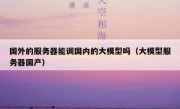 国外的服务器能调国内的大模型吗（大模型服务器国产）