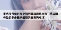 重庆限号处罚多少钱啊最新消息查询（重庆限号处罚多少钱啊最新消息查询电话）