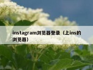 instagram浏览器登录（上ins的浏览器）
