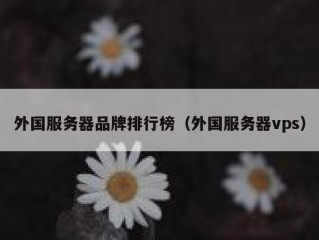 外国服务器品牌排行榜（外国服务器vps）