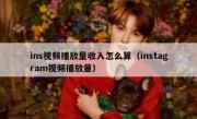 ins视频播放量收入怎么算（instagram视频播放量）