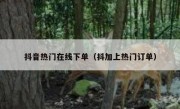 抖音热门在线下单（抖加上热门订单）