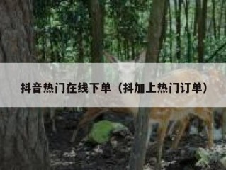 抖音热门在线下单（抖加上热门订单）