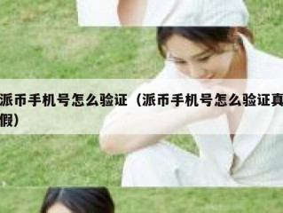 派币手机号怎么验证（派币手机号怎么验证真假）
