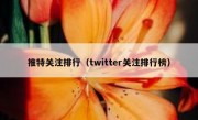 推特关注排行（twitter关注排行榜）