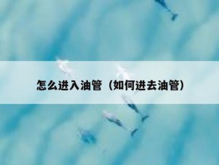 怎么进入油管（如何进去油管）