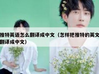 推特英语怎么翻译成中文（怎样把推特的英文翻译成中文）