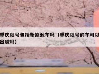 重庆限号包括新能源车吗（重庆限号的车可以出城吗）