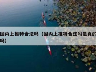 国内上推特合法吗（国内上推特合法吗是真的吗）