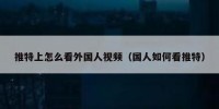 推特上怎么看外国人视频（国人如何看推特）