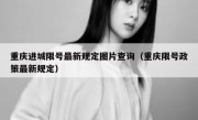 重庆进城限号最新规定图片查询（重庆限号政策最新规定）