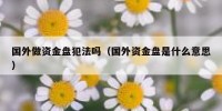 国外做资金盘犯法吗（国外资金盘是什么意思）