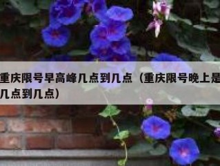 重庆限号早高峰几点到几点（重庆限号晚上是几点到几点）