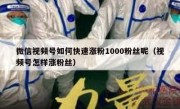 微信视频号如何快速涨粉1000粉丝呢（视频号怎样涨粉丝）