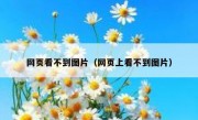 网页看不到图片（网页上看不到图片）