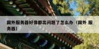 国外服务器好像都出问题了怎么办（国外 服务器）