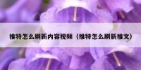 推特怎么刷新内容视频（推特怎么刷新推文）