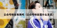 公众号粉丝有用吗（公众号粉丝是什么意思）