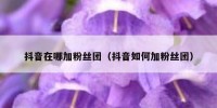 抖音在哪加粉丝团（抖音如何加粉丝团）