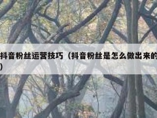 抖音粉丝运营技巧（抖音粉丝是怎么做出来的）