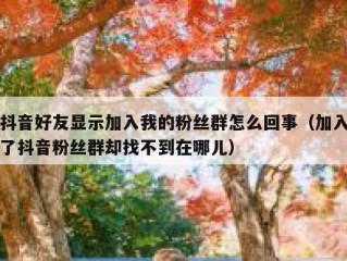 抖音好友显示加入我的粉丝群怎么回事（加入了抖音粉丝群却找不到在哪儿）