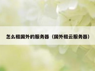 怎么租国外的服务器（国外租云服务器）