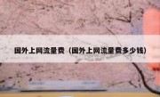 国外上网流量费（国外上网流量费多少钱）