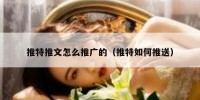 推特推文怎么推广的（推特如何推送）