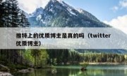 推特上的优质博主是真的吗（twitter优质博主）