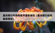 重庆限行时间和尾号最新规定（重庆限行政策最新规定）