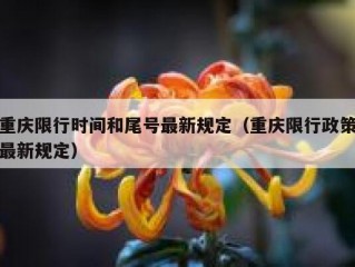 重庆限行时间和尾号最新规定（重庆限行政策最新规定）