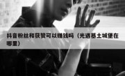 抖音粉丝和获赞可以赚钱吗（光遇墓土城堡在哪里）