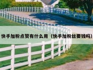 快手加粉点赞有什么用（快手加粉丝要钱吗）