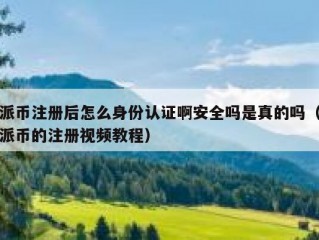 派币注册后怎么身份认证啊安全吗是真的吗（派币的注册视频教程）
