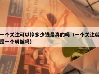 一个关注可以挣多少钱是真的吗（一个关注就是一个粉丝吗）