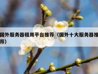 国外服务器租用平台推荐（国外十大服务器推荐）