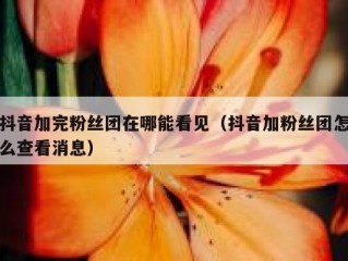 抖音加完粉丝团在哪能看见（抖音加粉丝团怎么查看消息）