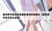 重庆限号处罚标准最新查询系统图片（重庆限号处罚怎么处理）