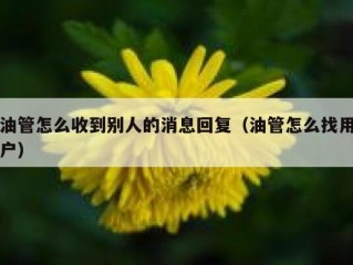 油管怎么收到别人的消息回复（油管怎么找用户）