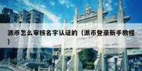 派币怎么审核名字认证的（派币登录新手教程）
