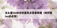 怎么看ins的浏览量和点赞量数据（如何看ins的点赞）