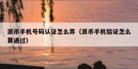 派币手机号码认证怎么弄（派币手机验证怎么算通过）