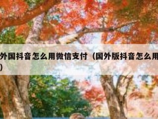 外国抖音怎么用微信支付（国外版抖音怎么用）