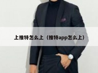 上推特怎么上（推特app怎么上）