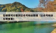 在哪里可以看到公众号粉丝数据（公众号粉丝从哪里看）