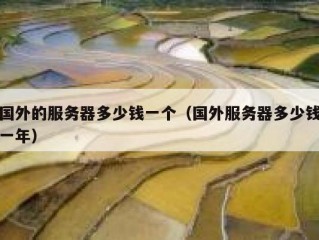 国外的服务器多少钱一个（国外服务器多少钱一年）