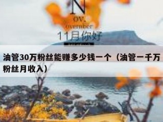 油管30万粉丝能赚多少钱一个（油管一千万粉丝月收入）