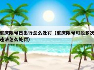 重庆限号日出行怎么处罚（重庆限号时段多次违法怎么处罚）