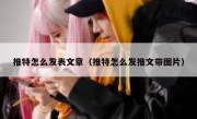 推特怎么发表文章（推特怎么发推文带图片）
